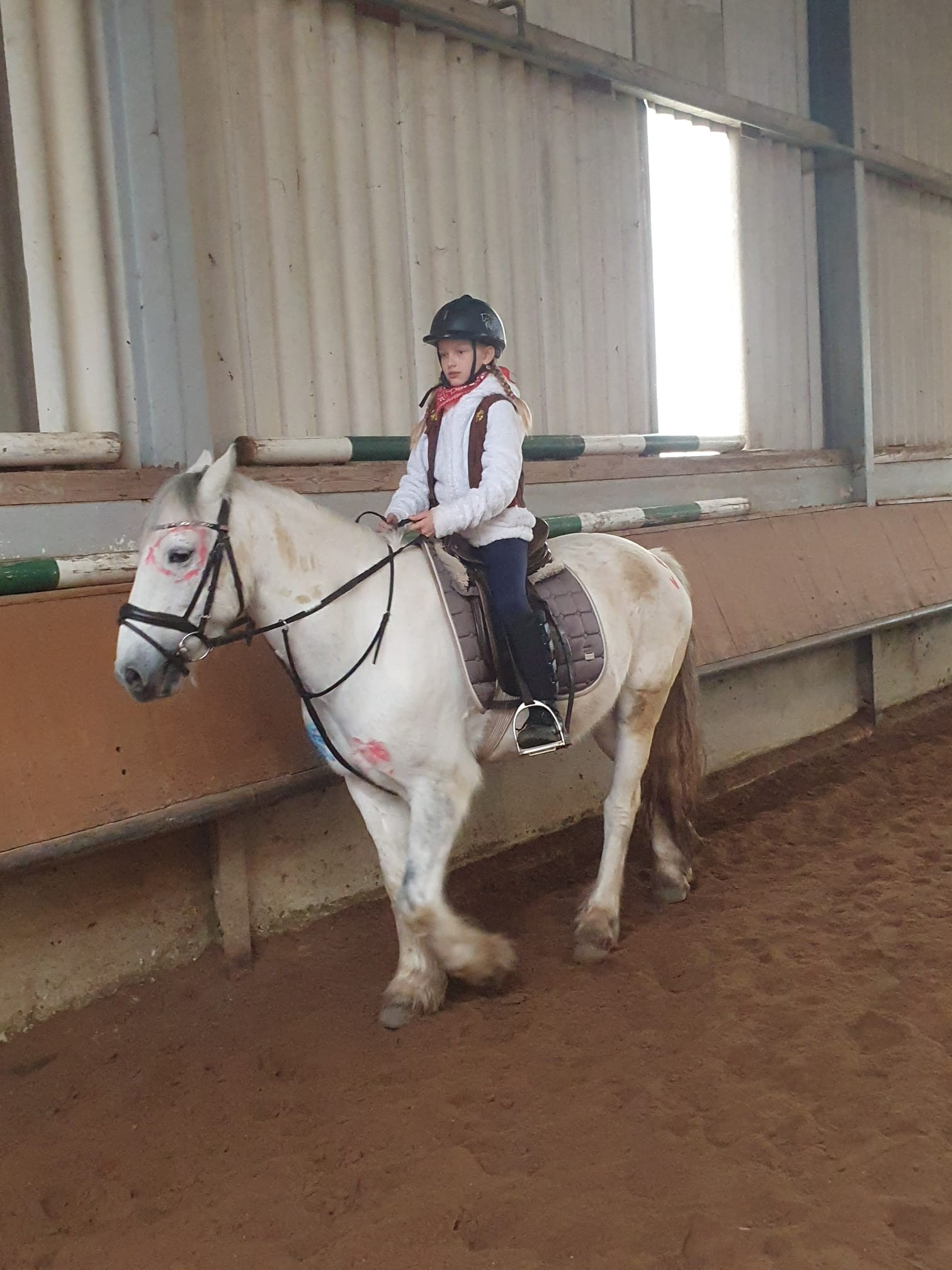 PHOTO-2023-02-19-12-07-28 2